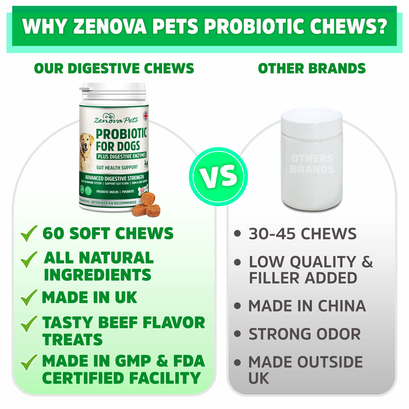 Probiotic for Dogs Gut Health, Prebiotic & Enzyme for Sensitive Tummy, UK MADE Dog Digestive Care